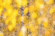 Herbstimpressionen