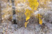 Herbstimpressionen