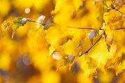 Herbstimpressionen