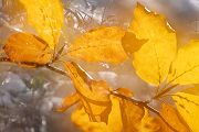 Herbstimpressionen