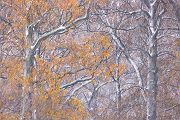Herbstimpressionen