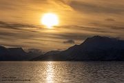 Nord Norwegen 2022