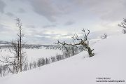 Nord Norwegen 2022