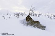 Nord Norwegen 2022