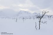Nord Norwegen 2022