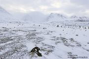 Nord Norwegen 2022