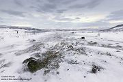 Nord Norwegen 2022