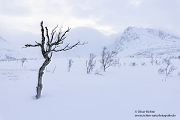 Nord Norwegen 2022