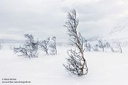 Nord Norwegen 2022