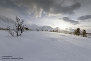 Nord Norwegen 2022