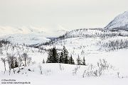 Nord Norwegen 2022