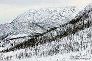 Nord Norwegen 2022