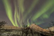 Nord Norwegen 2022
