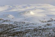 Nord Norwegen 2022
