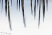Nord Norwegen 2022