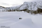 Nord Norwegen 2022