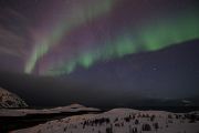 Aurora Borealis - Nordlicht, Polarlicht, Norwegen, Tromsö, Polar light, Northern light, northern lights