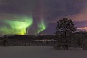Aurora Borealis - Nordlicht, Polarlicht, Norwegen, Tromsö, Polar light, Northern light, northern lights
