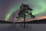 Aurora Borealis - Nordlicht, Polarlicht, Norwegen, Tromsö, Polar light, Northern light, northern lights