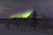Aurora Borealis - Nordlicht, Polarlicht, Norwegen, Tromsö, Polar light, Northern light, northern lights
