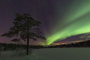 Aurora Borealis - Nordlicht, Polarlicht, Norwegen, Tromsö, Polar light, Northern light, northern lights