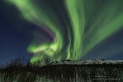 Aurora Borealis - Nordlicht, Polarlicht, Norwegen, Tromsö, Polar light, Northern light, northern lights, Lofoten