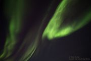 Aurora Borealis - Nordlicht, Polarlicht, Norwegen, Tromsö, Polar light, Northern light, northern lights, Lofoten