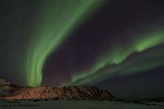 Aurora Borealis - Nordlicht, Polarlicht, Norwegen, Tromsö, Polar light, Northern light, northern lights, Lofoten