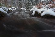 An der Warmen Boden im Harz