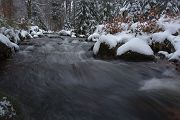 An der Warmen Boden im Harz