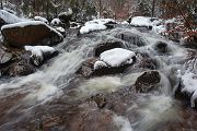 An der Warmen Boden im Harz
