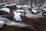 An der Warmen Boden im Harz