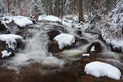 An der Warmen Boden im Harz