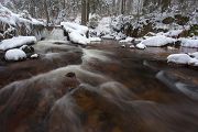 An der Warmen Boden im Harz