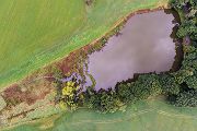 Herbst am Biberteich aus der Vogelperspektive