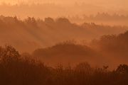 Blick vom Baumkronenpfad auf den Hainich Thüringen Mischwald Buchenwald Weltnaturerbe
