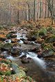 Harz Ilsetal Ilse Naturpark Harz Ilsenburg Herbst