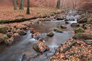Harz Ilsetal Ilse Naturpark Harz Ilsenburg Herbst