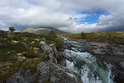 Norwegen, Dovrefjell