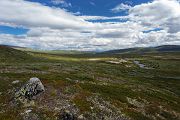 Norwegen, Dovrefjell