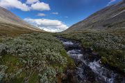Norwegen, Dovrefjell