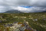 Norwegen, Dovrefjell