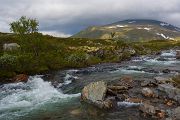 Norwegen, Dovrefjell
