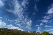 Norwegen, Dovrefjell