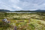 Rondane - Dovrefjell
