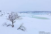 Unterwegs im Norden Norwegens