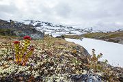 Norwegen