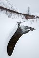Norwegen