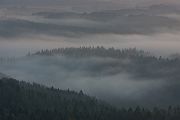 Blick ins Kirnitzschtal - Saechsische Schweiz