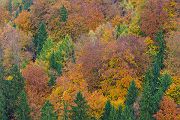 Unterwegs im Polenztal, Saechsische Schweiz 
